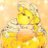 twitter profile
