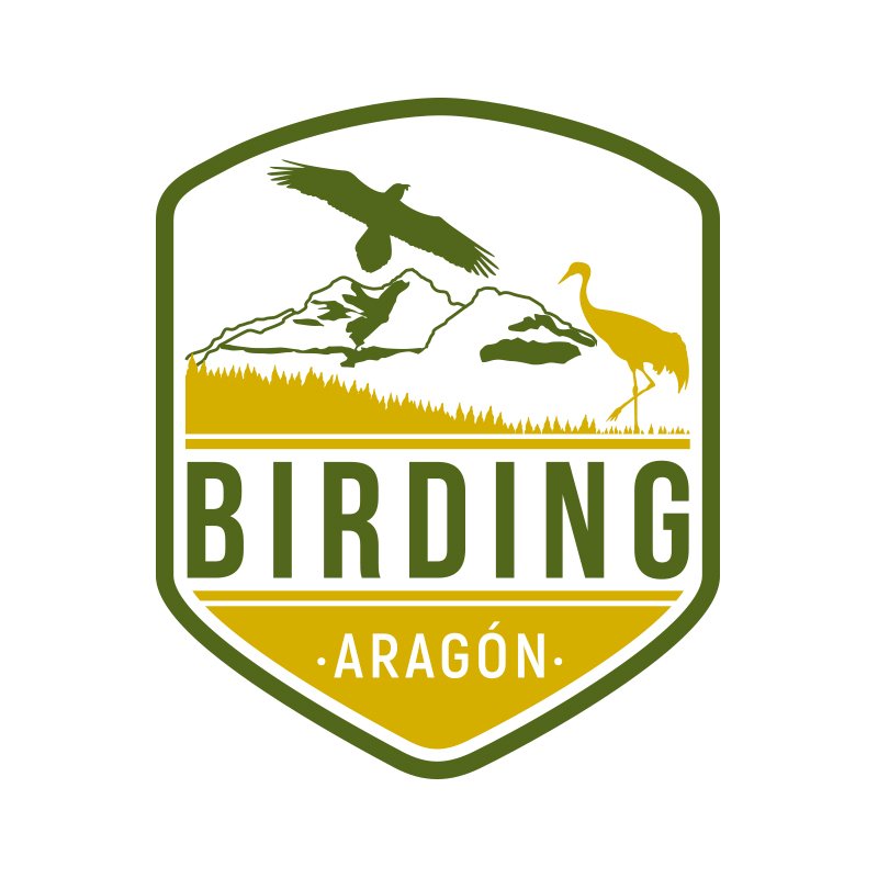 BirdingAragon