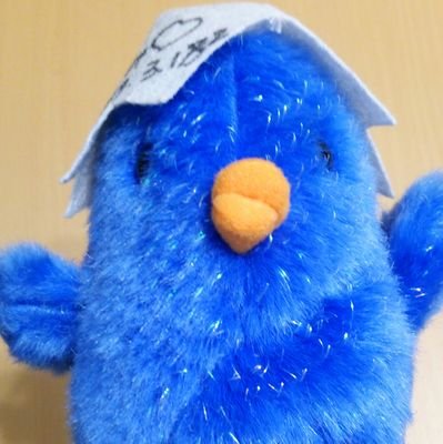 loveorlie2016's profile picture. 基本は実際に会った方とのツイッターです。海とゴルフと将棋と旅行が大好き…最近はシュートボクシングが多めですね。写真はたしなむ程度ですが、喜んでもらえるのは嬉しいです(*´ω｀*)