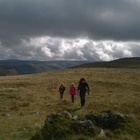 Writing about Nature (@milnenatureblog) 's Twitter Profile