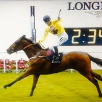 Willy Twiston-davies(@willy_twiston) 's Twitter Profile Photo