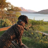 JA Gillies (@jagraas) 's Twitter Profile