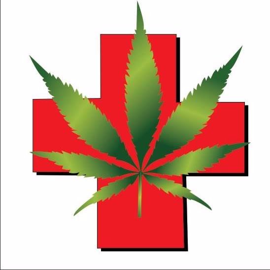 cannamedperu's profile picture. 