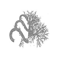 II II II (@ii_ii_ii_music) Twitter profile photo
