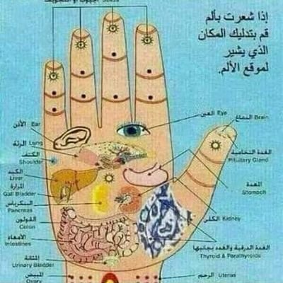 الشيخ  .قراءة الكف الكشف عن الماضي والحاضر والمستقبل  واسراء  الزواج والاطلاق والرزق والصحة والأعمال الشيطانية  وأشياء أخرى راسونا  واتس 00905348462658