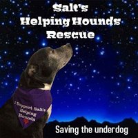 Salts Helping Hounds(@SaltsHHRescue) 's Twitter Profile Photo