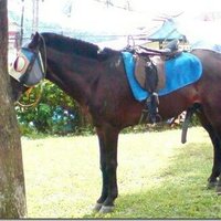 suka hiburan (@sannybastyan69) 's Twitter Profile Photo suka hiburan (@sannybastyan69) 's Twitter Profile Photo