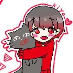 れいどーるさんのプロフィール画像
