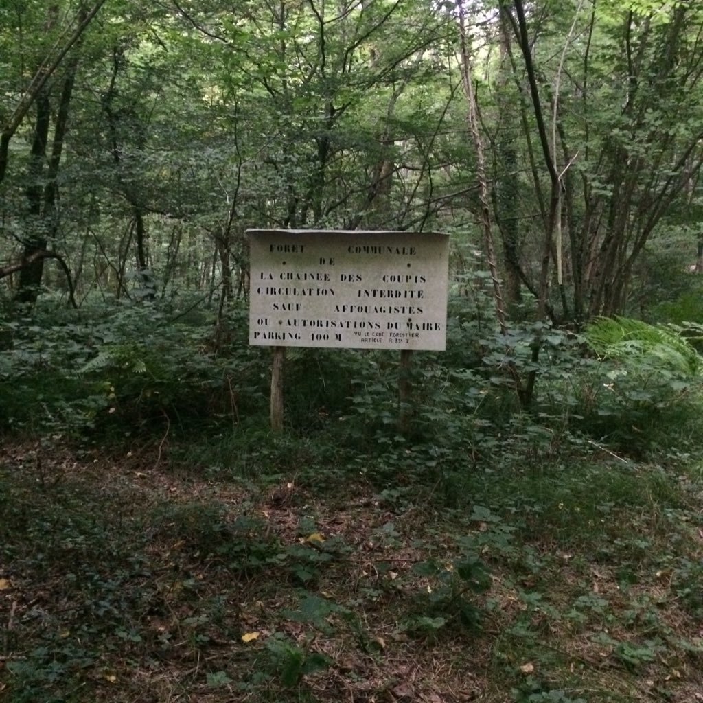 maxence jean louuup (Jean_Loup_wolf) Twitter