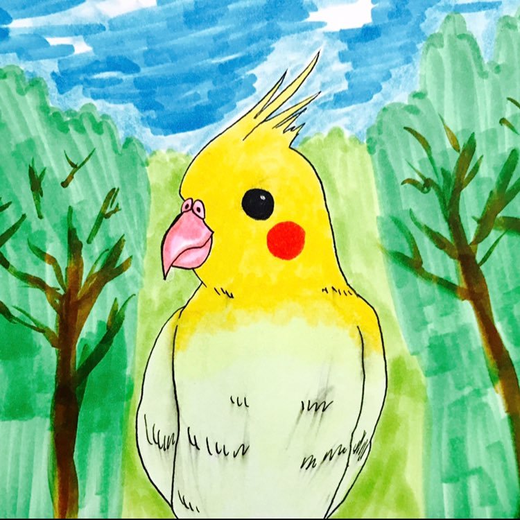 ぴやんさんのプロフィール画像