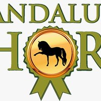 ANDALUSIAN HORSE(@Andalusiahorse) 's Twitter Profile Photo