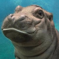 Roguish (@august__may) 's Twitter Profile Photo