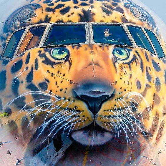 Born brought up and living in Manchester UK Mancunian. With Aviation and local interests in the forefront. All views are my own and retweets not an endorsement.