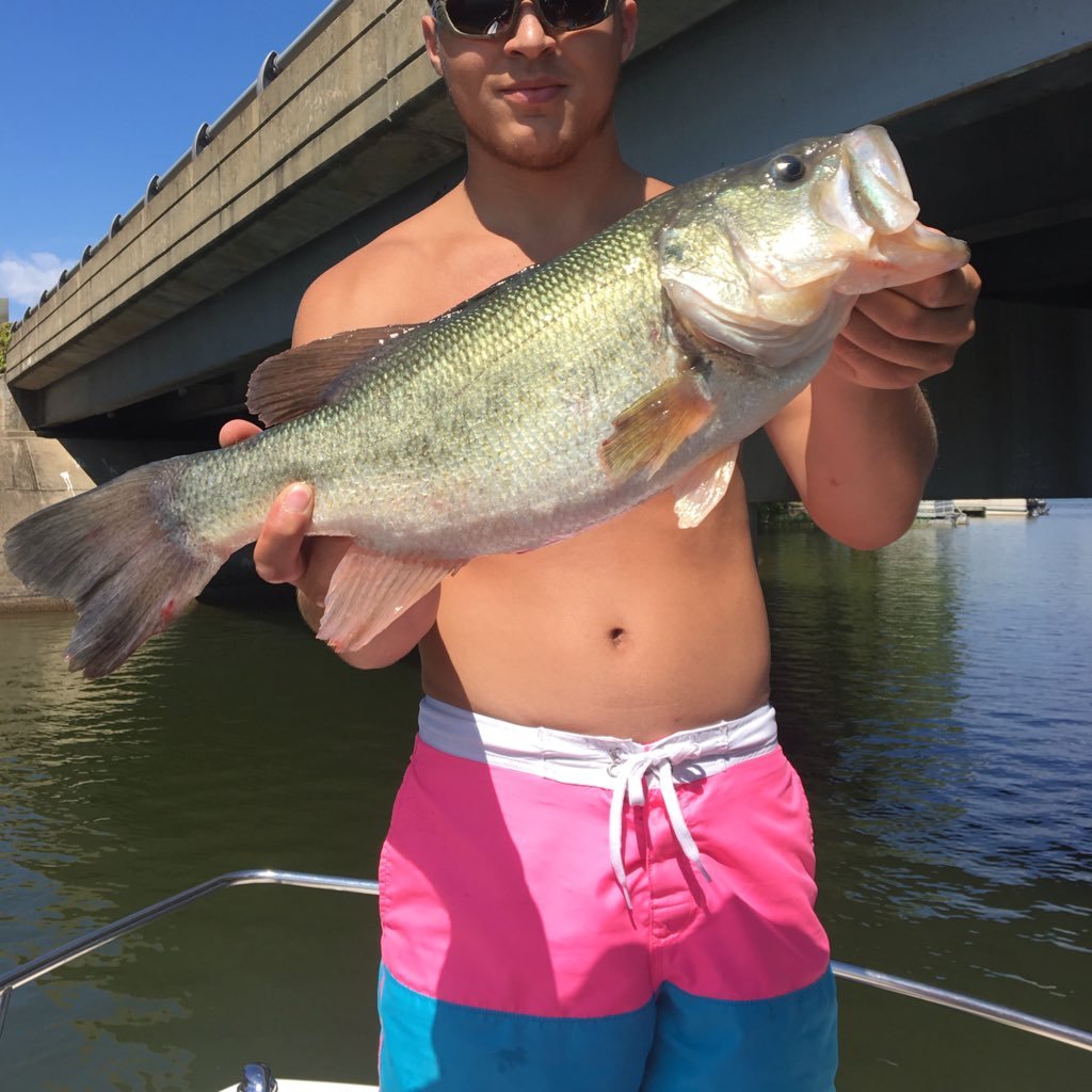 Snapchat/kyle2lsmall instagram/Kylesmal212 Prostaff-@Bcbbsoftplastics @wootungsten @cranked @megachomplures @TeamNPS @elitecatchbaits @ardentreels @trapper