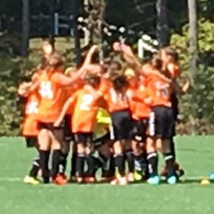 Harvest_SC's profile picture. An Authentic & Education-based Soccer Club. Play Local~Play Competitively. We support our schools & HS teams and avoid the nonsense of pay-to-play athletics.