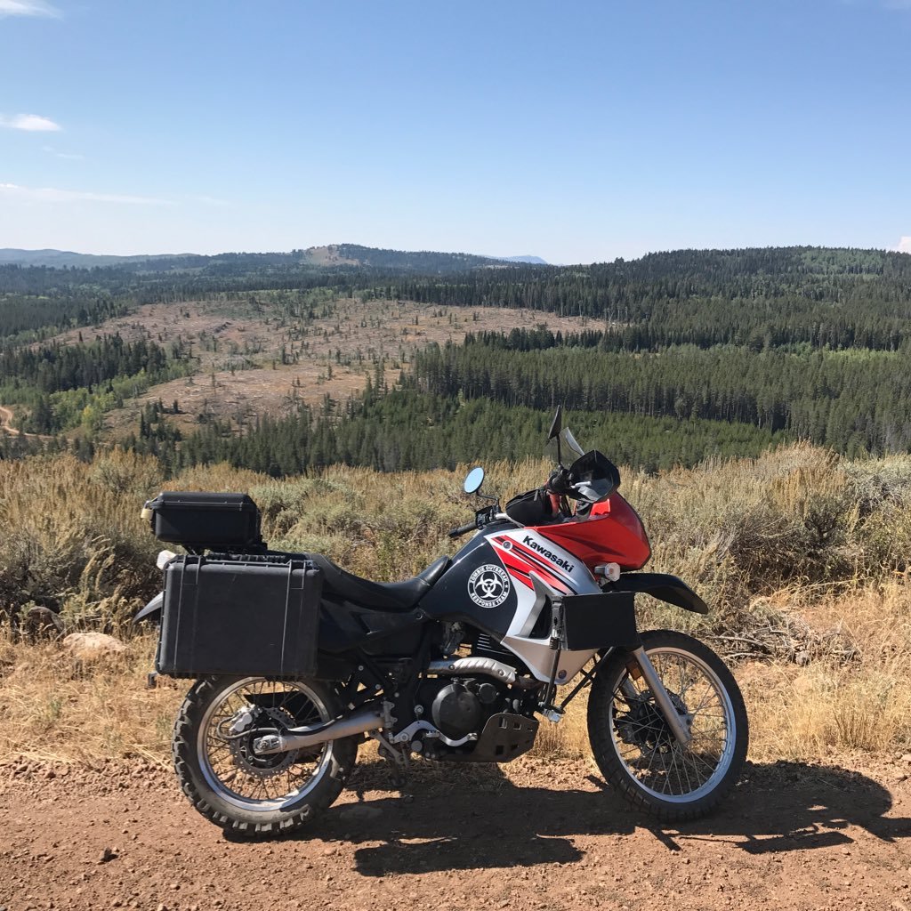 cacottle4321's profile picture. 