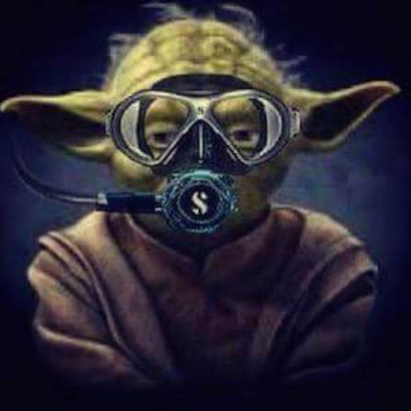 BigPeteC1's profile picture. scuba👌,kayaking ⚡️Conservation .🤘