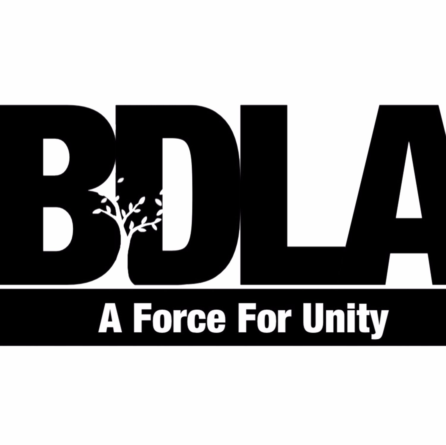 The BDLA Vision is to educate students and faculty about diversity issues in business, while promoting diversity and working to eliminate social injustice.