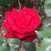 @dd_qmmm