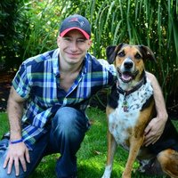 Steven Viner (@stevenviner1) 's Twitter Profile