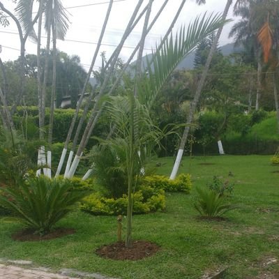 santacarlos6's profile picture. 