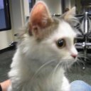 Lisa Chase - @LisaCha42 - Twitter