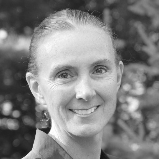 Renee Despres, PhD, MPH Profile