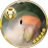 小桜のしもべ🦜みんこのアイコン
