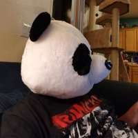 John Stauffacher (@g33kspeed) 's Twitter Profile