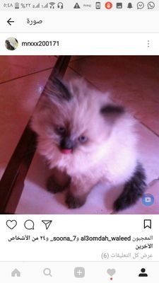 Abosary22's profile picture. الحياة حلوه