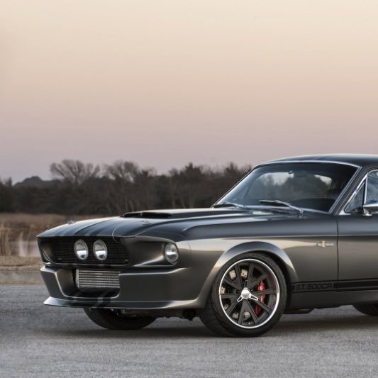 MarquesJavi's profile picture. Amante de la buena vida, los coches y los caballos.