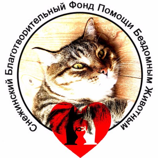 Malenkie_dryzia's profile picture. СБФ "Маленькие друзья" - это место, где нашли свой временный дом когда-то ставшие ненужными кошки. Мы помогаем кошкам поверить в любовь людей, обрести новый дом