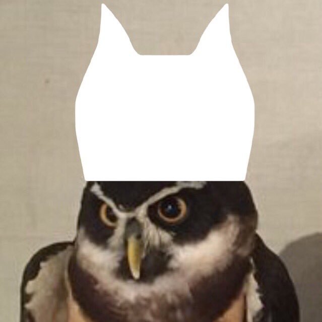 nyannyawayさんのプロフィール画像