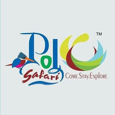 polosafari123's profile picture. Polo safari is a tourism company which provides complete travel solutions for polo forest and so many other places in Gujrat.