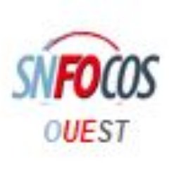 Le Syndicat des Cadres SNFOCOS des Organismes de Sécurité sociale - Départements des Pays de la Loire