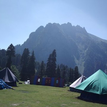 dralkiinaan's profile picture. we help the people to Buy or Sell the properties Residential/Land/Houses/commercial/Non-commercial directly from seller to Buyer  on line by  direct contacts