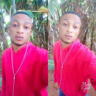 Local Music Music International Music International Entertainment Entertainment TV
