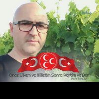 Mesut Dalgıç (@mesutdalg5) 's Twitter Profile