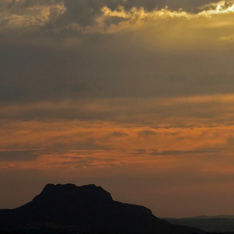 IGAgrenoble's profile picture. 