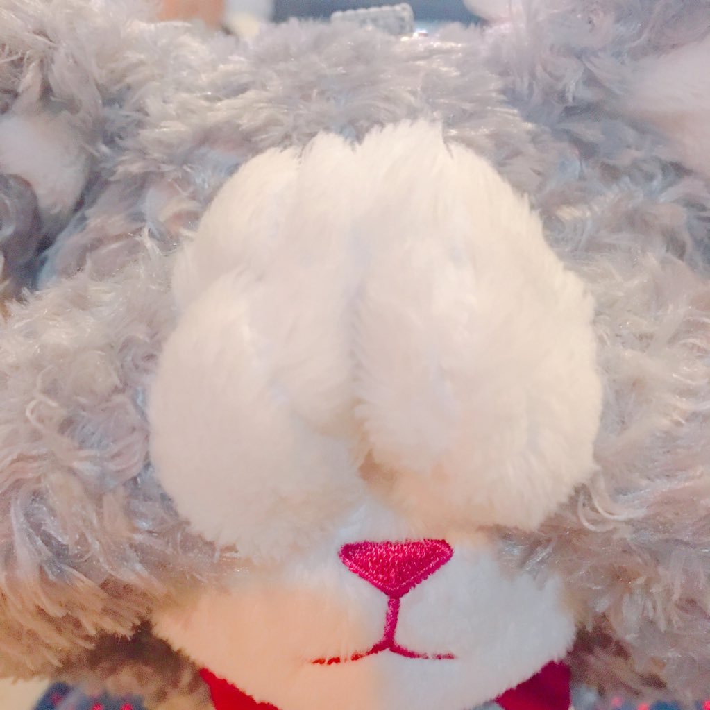 たまごかけごはん禁止さんのプロフィール画像