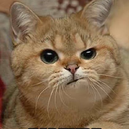 DisgruntledTea2's profile picture. Former High school, now middle school teacher grasping desperately for sanity.