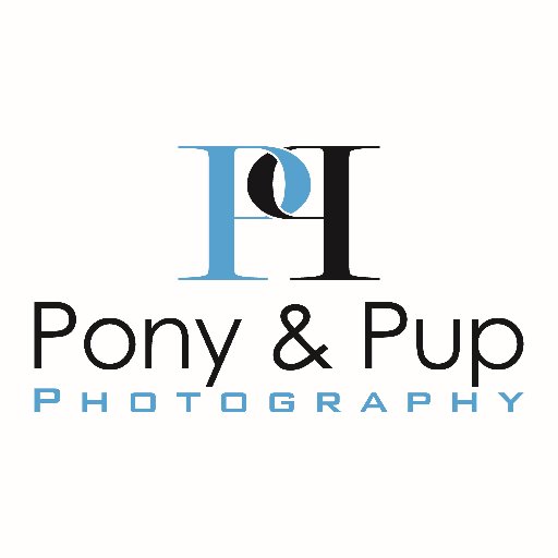 Equine and canine photographer available for portraits, commercial and event photography. All images subject to copyright.