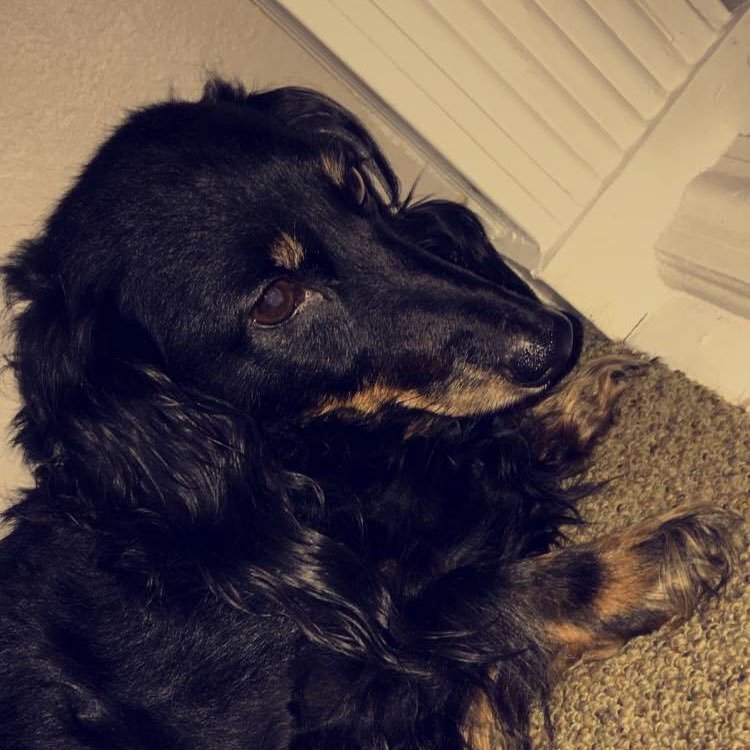 Clarry_Jace's profile picture. "It's hard but if you can't find a way to smile for your people, then smile for me. I'll always be with you." -Aaron