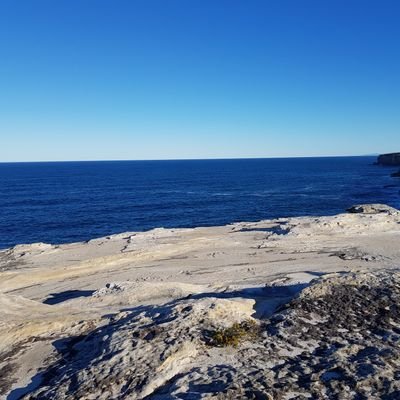 wuagui's profile picture. 