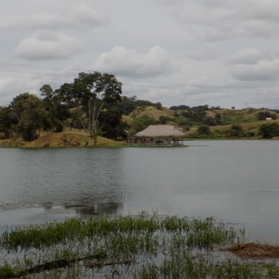 hobalito's profile picture. 