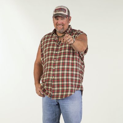 Image result for larry the cable guy