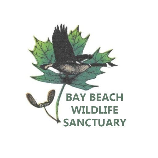 The Bay Beach Wildlife Sanctuary is a 600-acre urban wildlife refuge featuring live animal exhibits, educational displays, miles of trails and wildlife.