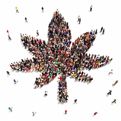 We create cannabis contests, lead capture pages, sales and product launch pages,webinar opt in funnels etc. to help businesses build customer email lists.