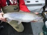 Fishing guide Service fishing Michigan Rivers