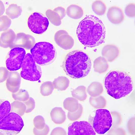 CHM_MSKCC Profile